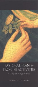 Pastoral Plan